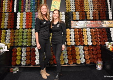 De dames van Amigo Plant bij hun kerstartikelen. Links op de foto zijn de oude vertrouwde producten en rechts hun nieuwe, verduurzaamde, producten waarbij er geen plastic meer wordt gebruikt voor de glitters.